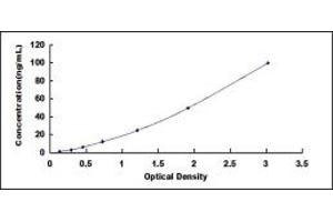 Typical standard curve (PKC zeta ELISA 试剂盒)