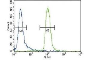 MUSK antibody flow cytometric analysis of CEM cells (right histogram) compared to a negative control cell (left histogram). (MUSK 抗体  (AA 829-859))