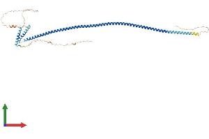 Protein Structure (PS) image for IQ Motif Containing G (IQCG) (AA 1-443) protein (His tag) (ABIN7548606)