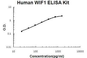 Human WIF1 PicoKine ELISA Kit standard curve (WIF1 ELISA 试剂盒)