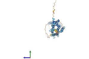 Protein Structure (PS) image for Histamine Receptor H4 (HRH4) (AA 1-390) protein (His tag) (ABIN7548407)