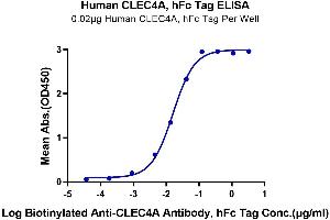 ELISA image for C-Type Lectin Domain Family 4, Member A (CLEC4A) (AA 70-237) protein (Fc Tag) (ABIN7274354)