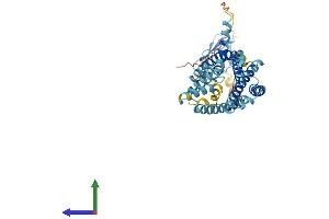 Protein Structure (PS) image for Corticotropin Releasing Hormone Receptor 2 (CRHR2) (AA 1-411) protein (His tag) (ABIN7557600)