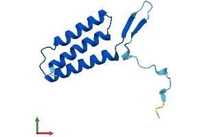 AlphaFold protein structure predicition of Mouse Recombinant Lyrm7 Protein, UniprotID Q9DA03 (LYRM7 Protein (AA 1-104) (His tag))