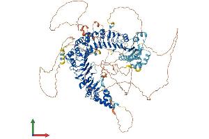 AlphaFold protein structure predicition of Human Recombinant FBXO38 Protein, UniprotID Q6PIJ6
