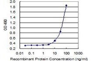 Sandwich ELISA detection sensitivity ranging from 3 ng/mL to 100 ng/mL. (ICOSLG (人) Matched Antibody Pair)