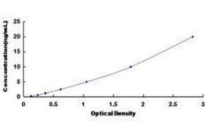 ELISA image for Calcium Channel, Voltage-Dependent, T Type, alpha 1H Subunit (CACNA1H) ELISA Kit (ABIN428238)