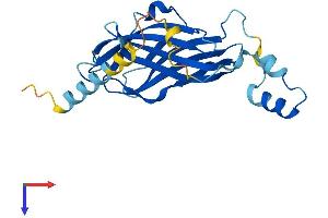 ARHGDIG Protein (AA 1-225) (His tag)