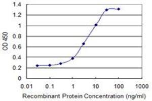 Detection limit for recombinant GST tagged ASAH1 is 0. (ASAH1 抗体  (AA 25-124))