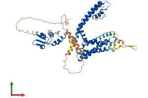 Protein Structure (PS) image for Potassium Voltage-Gated Channel, Shaker-Related Subfamily, Member 1 (KCNA1) (AA 1-495) protein (His tag) (ABIN7562902)