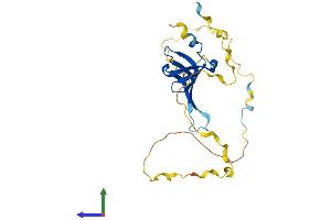 Protein Structure (PS) image for Small Nuclear Ribonucleoprotein Polypeptides B and B1 (SNRPB) (AA 1-240) protein (His tag) (ABIN7551569)