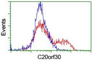 Flow Cytometry (FACS) image for anti-Chromosome 20 Open Reading Frame 30 (C20orf30) antibody (ABIN1498765) (C20orf30 抗体)