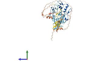 Protein Structure (PS) image for Zinc Finger Protein 621 (ZNF621) (AA 1-439) protein (His tag) (ABIN7545678)