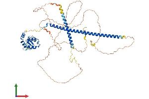 Protein Structure (PS) image for Ring Finger Protein 168 (RNF168) (AA 1-571) protein (His tag) (ABIN7555260)