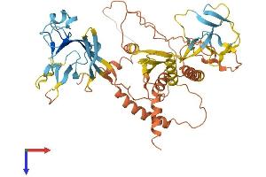 Endogenous Retrovirus Group FC1, Member 1 (ERVFC1-1) (AA 1-527) protein (His tag)