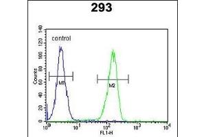 KCT2 Antibody (Center) (ABIN651775 and ABIN2840395) flow cytometric analysis of 293 cells (right histogram) compared to a negative control cell (left histogram). (KCT2 抗体  (AA 123-150))