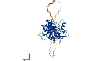 Protein Structure (PS) image for Tribbles Homolog 1 (TRIB1) (AA 1-372) protein (His tag) (ABIN7559576)