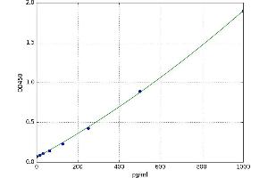 A typical standard curve (NEFM ELISA 试剂盒)