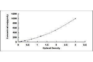 Fibulin 5 (FBLN5) ELISA Kit