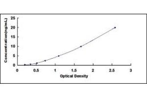 Typical standard curve