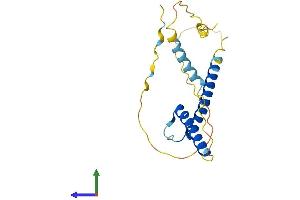 Protein Structure (PS) image for Basic Helix-Loop-Helix Family, Member A15 (BHLHA15) (AA 1-197) protein (His tag) (ABIN7561785)
