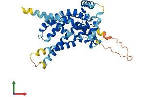 Protein Structure (PS) image for Solute Carrier Family 25, Member 33 (SLC25A33) (AA 1-320) protein (His tag) (ABIN7563687)