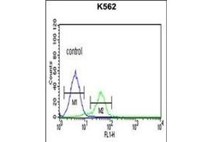 Flow Cytometry (FACS) image for anti-CD40 Ligand (CD40LG) (AA 181-207), (C-Term) antibody (ABIN652211)