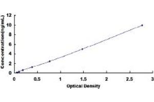 Typical standard curve (BCL2L2 ELISA 试剂盒)