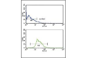 Flow Cytometry (FACS) image for anti-Kynurenine 3-Monooxygenase (Kynurenine 3-Hydroxylase) (KMO) (AA 155-182) antibody (ABIN652604)