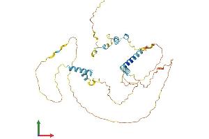 Protein Structure (PS) image for Family with Sequence Similarity 110, Member B (FAM110B) (AA 1-370) protein (His tag) (ABIN7547465)