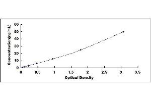 Typical standard curve (Acetylcholinesterase ELISA 试剂盒)