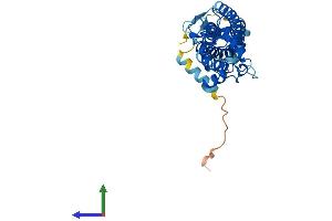 Protein Structure (PS) image for Peripherin 2 (Retinal Degeneration, Slow) (PRPH2) (AA 1-346) protein (His tag) (ABIN7550991)