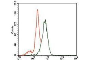 Flow cytometric analysis of SK-N-SH cells using ID2 mouse mAb (green) and negative control (purple).