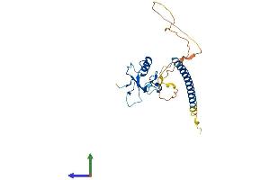 Protein Structure (PS) image for THAP Domain Containing, Apoptosis Associated Protein 3 (THAP3) (AA 1-239) protein (His tag) (ABIN7544404)