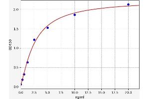 Angiotensin I Converting Enzyme 1 ELISA 试剂盒