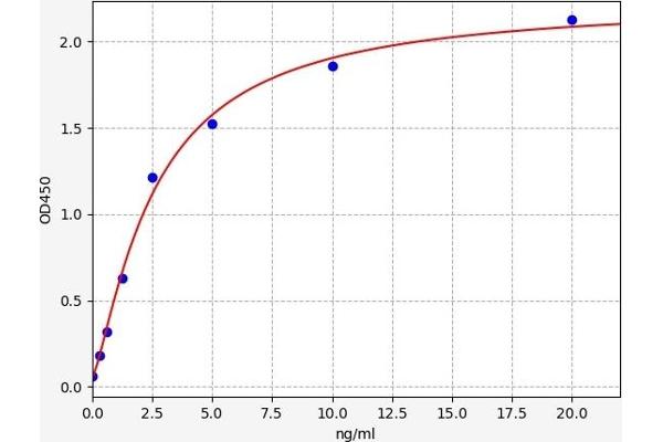 Angiotensin I Converting Enzyme 1 ELISA 试剂盒