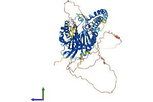Protein Structure (PS) image for Sphingomyelin Phosphodiesterase 3 (SMPD3) (AA 1-655) protein (His tag) (ABIN7565104)