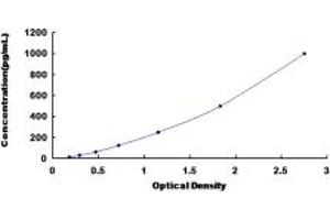 Typical standard curve (Cathepsin Z ELISA 试剂盒)