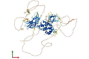 Protein Structure (PS) image for phosphofurin Acidic Cluster Sorting Protein 2 (PACS2) (AA 1-889) protein (His tag) (ABIN7554842)