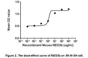Regenerating Islet-Derived 3 beta (REG3B) (AA 27-175) (Active) protein (His tag)