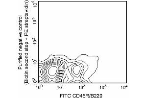 Expression of CD138 on mouse bone- marrow B lymphocytes. (Syndecan 1 抗体)
