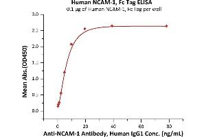 ELISA image for Neural Cell Adhesion Molecule 1 (NCAM1) (AA 20-718) (Active) protein (Fc Tag) (ABIN7013592)