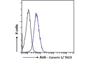 Flow Cytometry (FACS) image for anti-Coronin, Actin Binding Protein, 1A (CORO1A) (C-Term) antibody (ABIN185063)