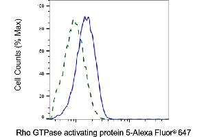 Validation of Rho GTPase activating protein 5 knockdown using flow cytometry. (Recombinant ARHGAP5 抗体)