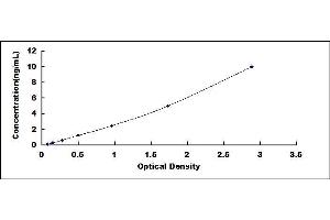 Typical standard curve (METRN ELISA 试剂盒)