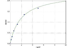 Beclin 1, Autophagy Related (BECN1) ELISA Kit