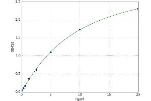A typical standard curve (COL4A1 ELISA 试剂盒)