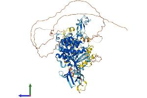 AlphaFold protein structure predicition of Mouse Recombinant Prkd1 Protein, UniprotID Q62101