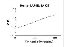 Human LAP(TGF-beta1) PicoKine ELISA Kit standard curve