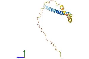 AlphaFold protein structure predicition of Mouse Recombinant Sncb Protein, UniprotID Q91ZZ3